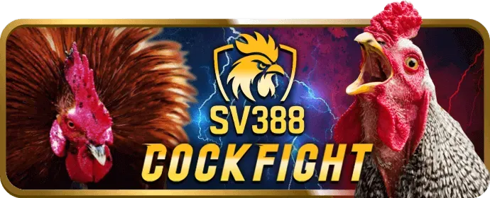 Thưởng chào mừng thành viên mới 888b casino